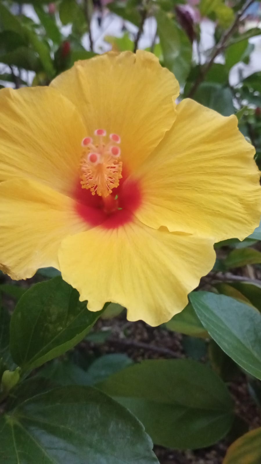 Now we’re getting somewhere